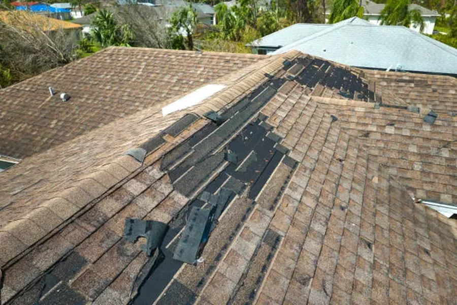 Roof Painting in Wellington