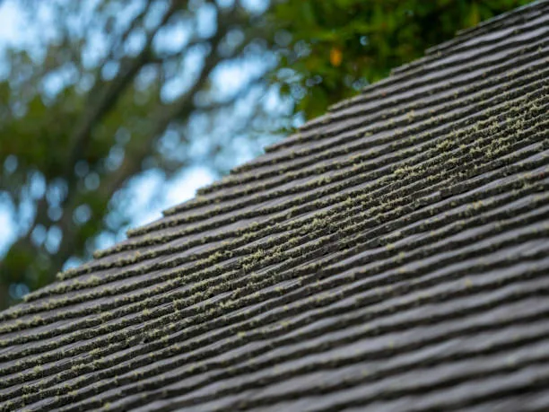 Professional industrial roofing service