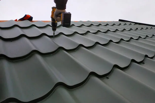 Detailed Wellington roof leak repair work
